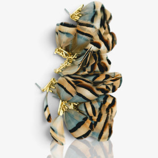 Stripe Feather Earrings