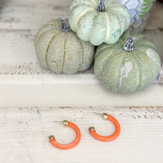 Orange hoop earrings with gold accents on a wooden surface with green pumpkins in the background.
