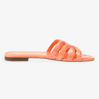 Circus by Sam Edelman Cat Slide in Orange Tangerine slide sandal on a white background