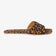 Tan Leopard