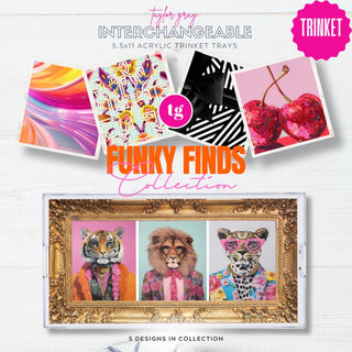 Acrylic trinket tray with five interchangeable Funky Finds inserts featuring colorful animal, cherry and graphic designs