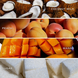 Mango coconut reed diffuser glass bottle home fragrance sticks tropical scent