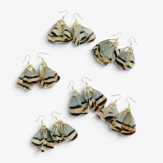 Stripe Feather Earrings