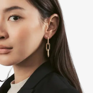 Alicia gold link drop earrings with crystal accents and elongated chain design